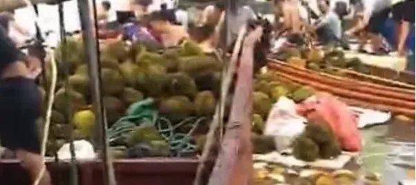 广西哄抢榴莲的村民食物中毒,这是谁的责任?