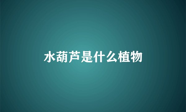 水葫芦是什么植物