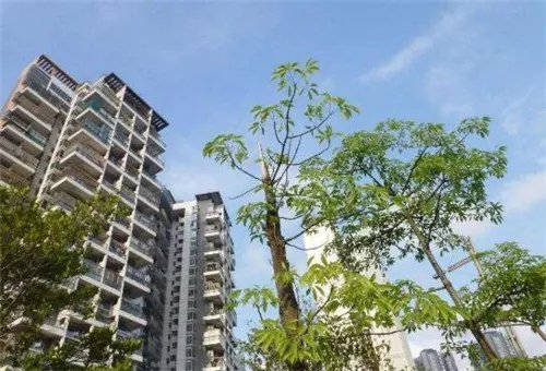 什么是集资建房