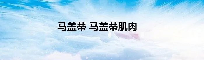马盖蒂 马盖蒂肌肉