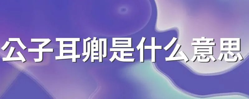公子耳卿是什么意思 词语公子耳卿是什么意思