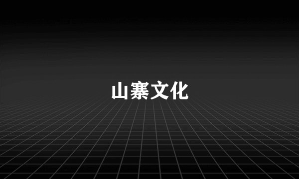 山寨文化