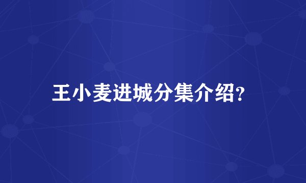 王小麦进城分集介绍？