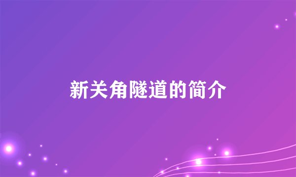 新关角隧道的简介