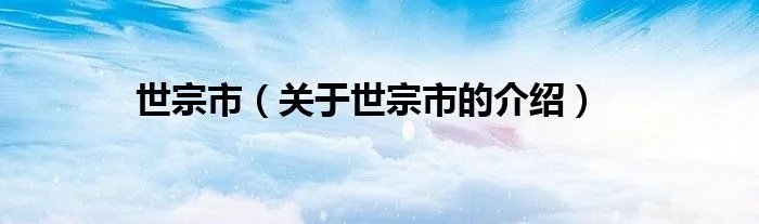 世宗市（关于世宗市的介绍）