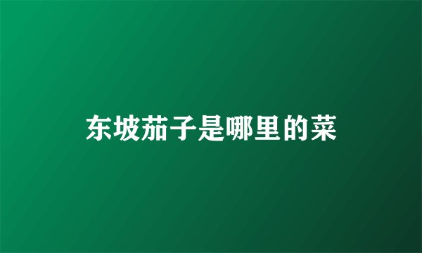 东坡茄子是哪里的菜