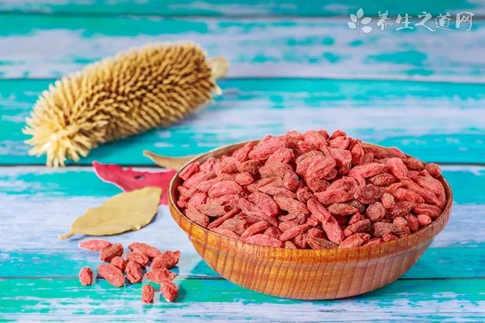 仓鼠食谱