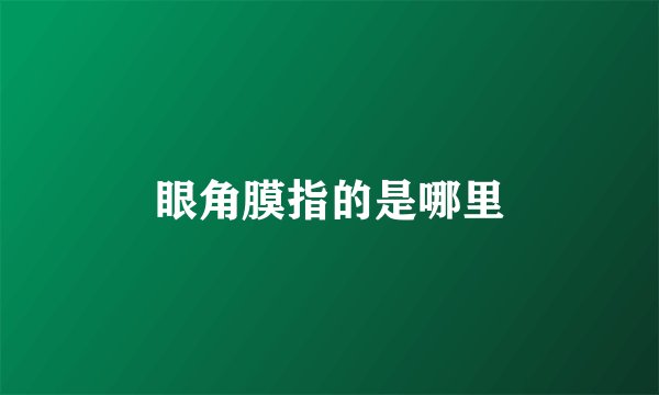 眼角膜指的是哪里