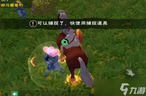 创造与魔法蓝蜥蜴驯服攻略
