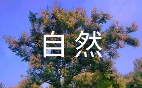 大自然作文