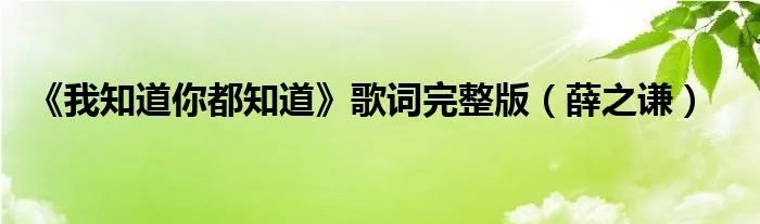 《我知道你都知道》歌词完整版(薛之谦)