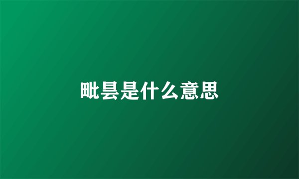 毗昙是什么意思