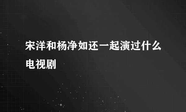 宋洋和杨净如还一起演过什么电视剧