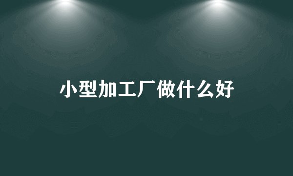 小型加工厂做什么好