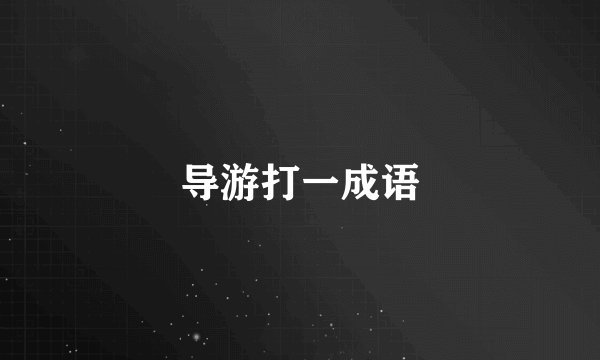 导游打一成语