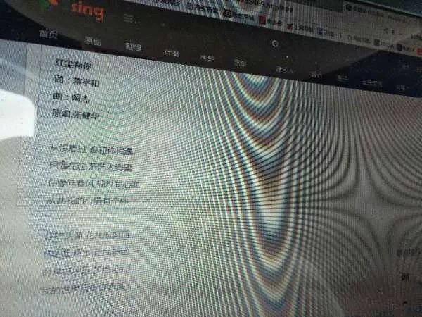 红尘有你歌词