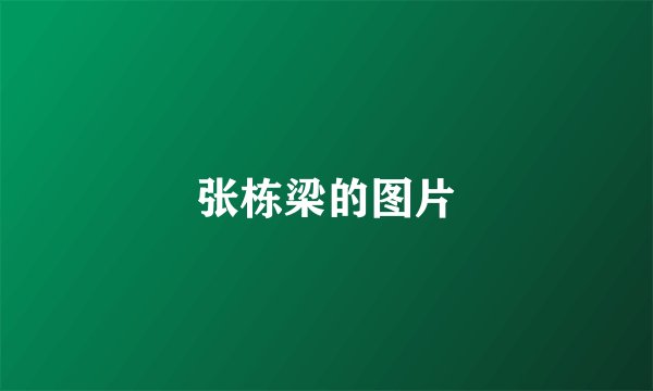 张栋梁的图片