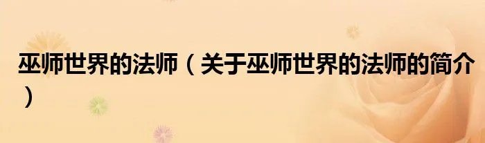巫师世界的法师（关于巫师世界的法师的简介）