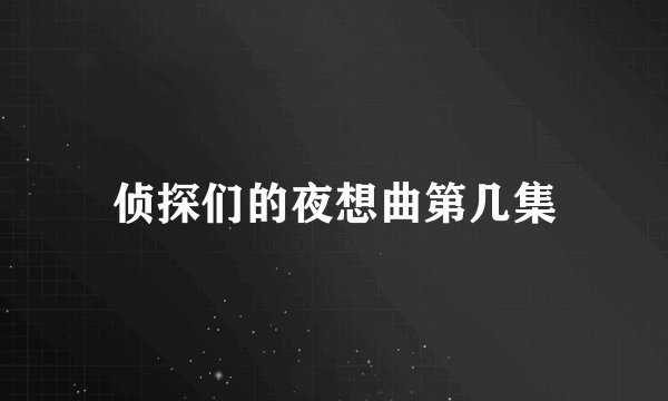 侦探们的夜想曲第几集