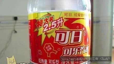 山寨食品.