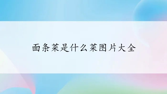 面条菜是什么菜图片大全