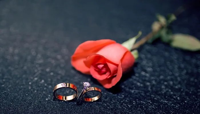 裸婚是什么意思 什么叫裸婚