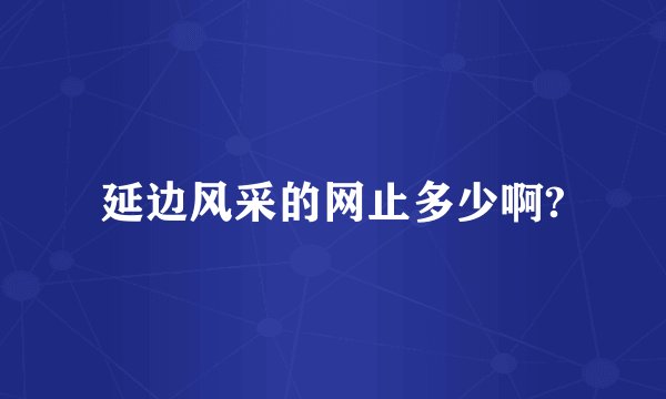 延边风采的网止多少啊?