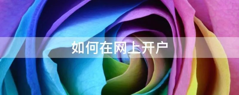 如何在网上开户