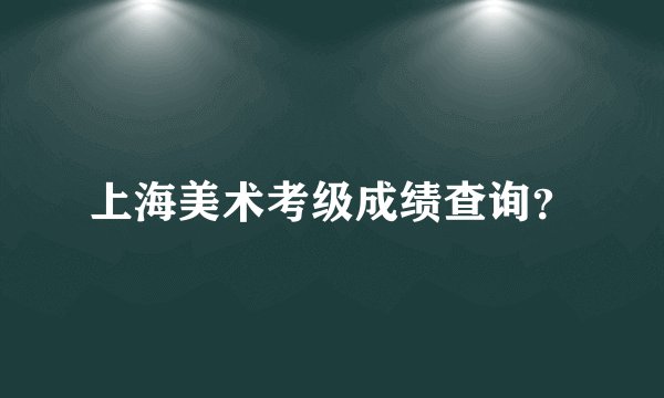 上海美术考级成绩查询？