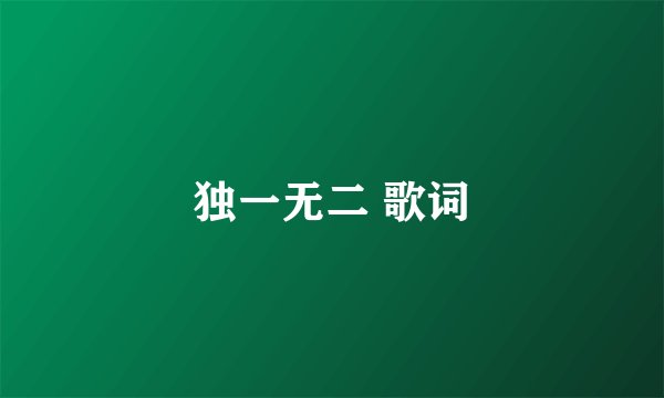 独一无二 歌词