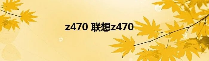 z470 联想z470