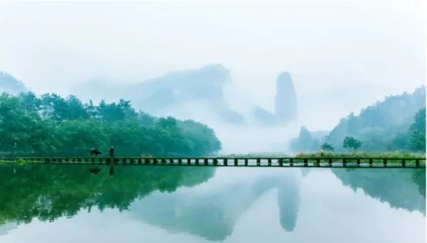 王安石的诗有哪些