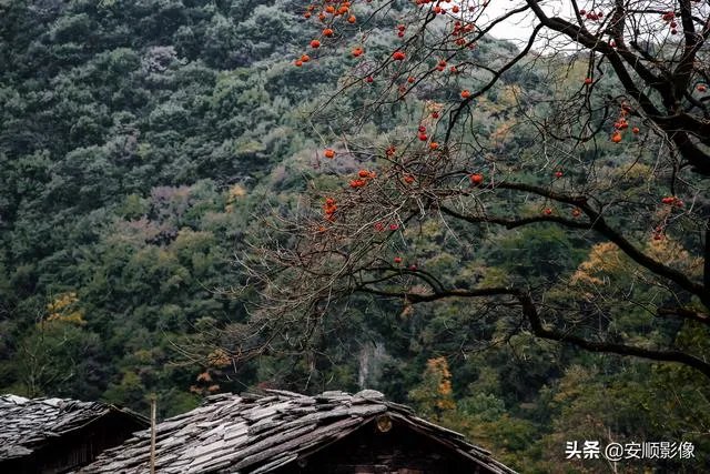 为什么糖水片往往在朋友圈有很高的点赞率,但却得不到摄影大咖们的认可?