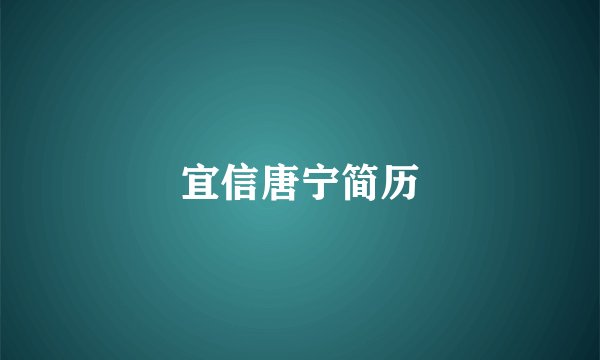 宜信唐宁简历