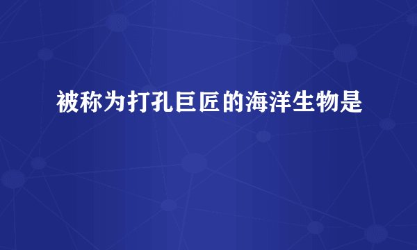 被称为打孔巨匠的海洋生物是
