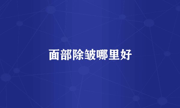 面部除皱哪里好