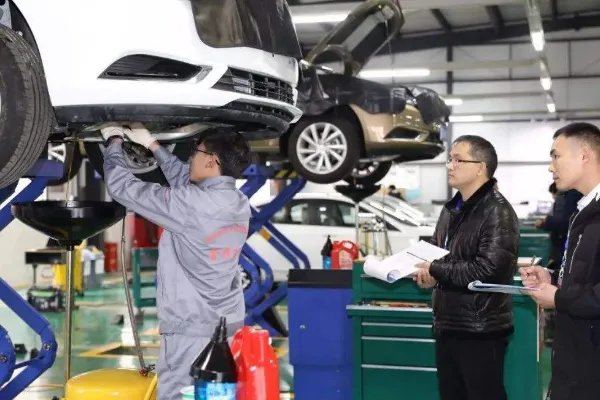 初中毕业学什么好