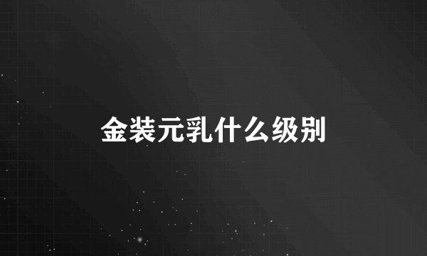 金装元乳什么级别
