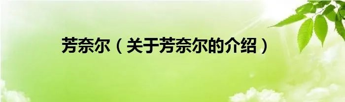 芳奈尔（关于芳奈尔的介绍）