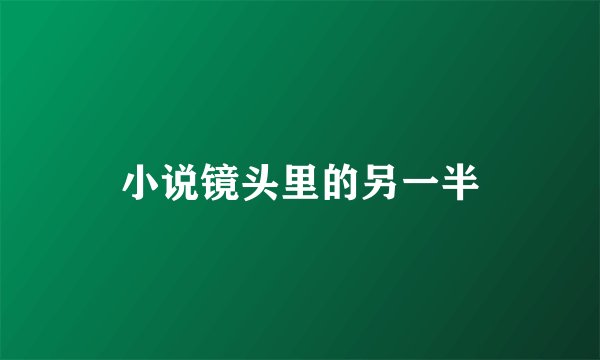 小说镜头里的另一半