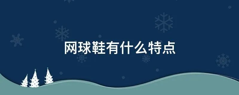 网球鞋有什么特点