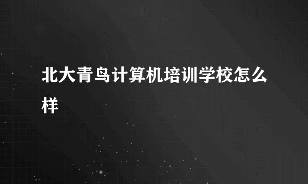北大青鸟计算机培训学校怎么样
