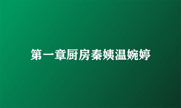第一章厨房秦姨温婉婷