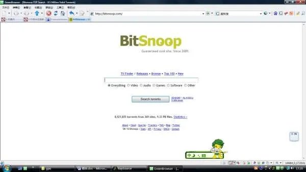 BitSnoop