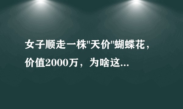 女子顺走一株