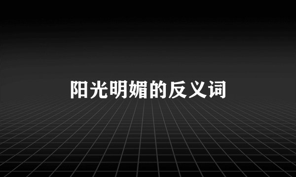 阳光明媚的反义词