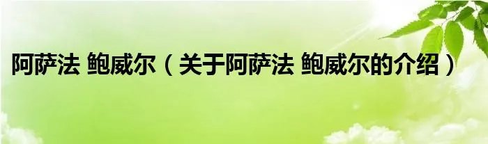 阿萨法 鲍威尔（关于阿萨法 鲍威尔的介绍）