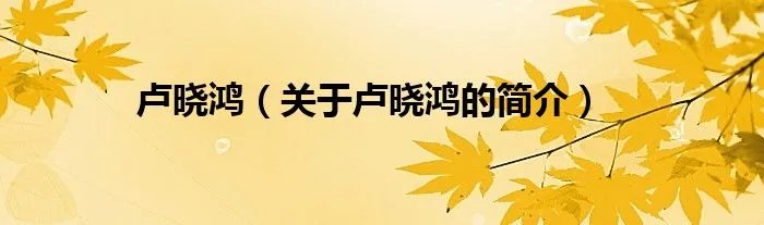 卢晓鸿（关于卢晓鸿的简介）