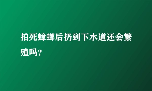 拍死蟑螂后扔到下水道还会繁殖吗？
