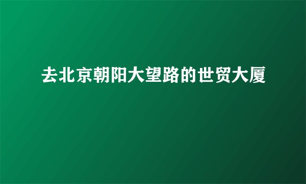 去北京朝阳大望路的世贸大厦